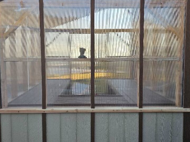 Front of a mono-slope greenhouse with clear polycarbonate panels and a wood-toned frame